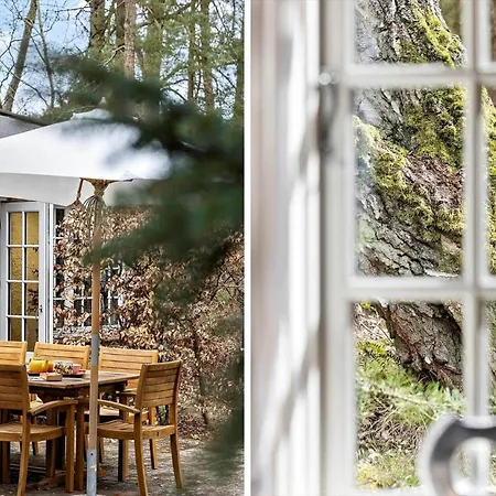 3711-nexo-bugten-4 *