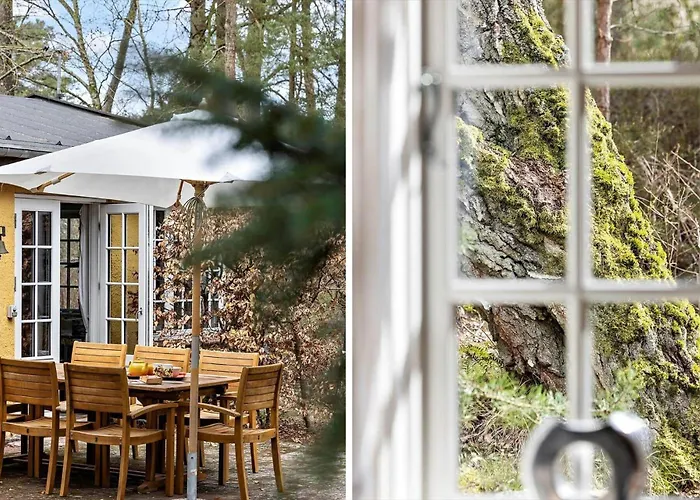 3711-nexo-bugten-4 *